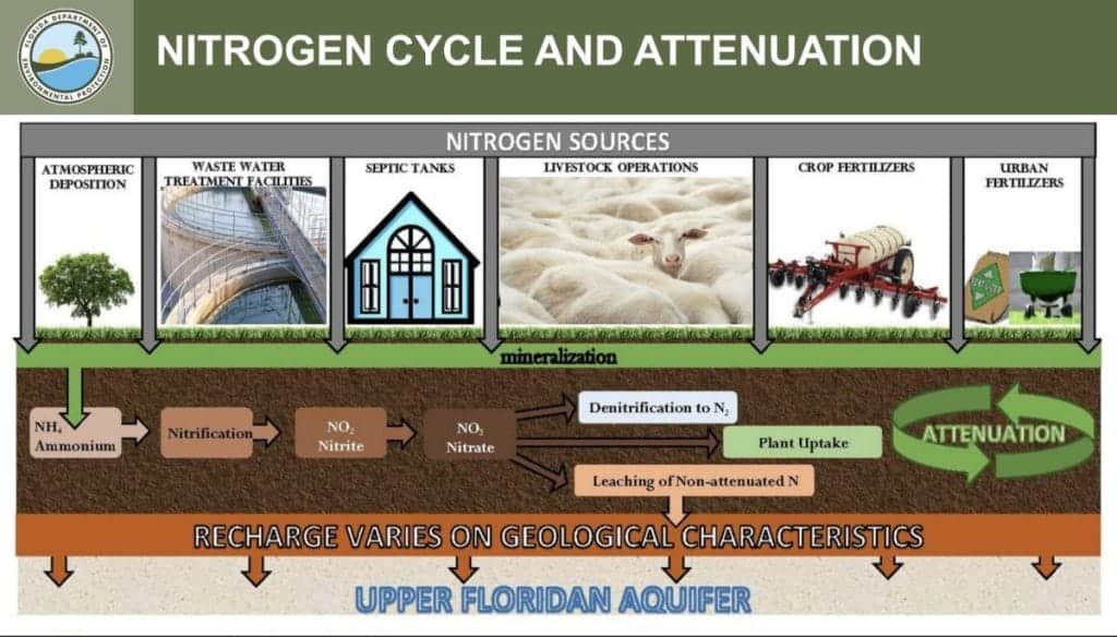 Screenshot 2024 10 16 at 5.48.25 PM In: BMAPS: Basin Management Action Plan; Nutrient Reduction and our aquifer. Oct. 28, 2 pm in Lake Butler | Our Santa Fe River, Inc. (OSFR) | Protecting the Santa Fe River